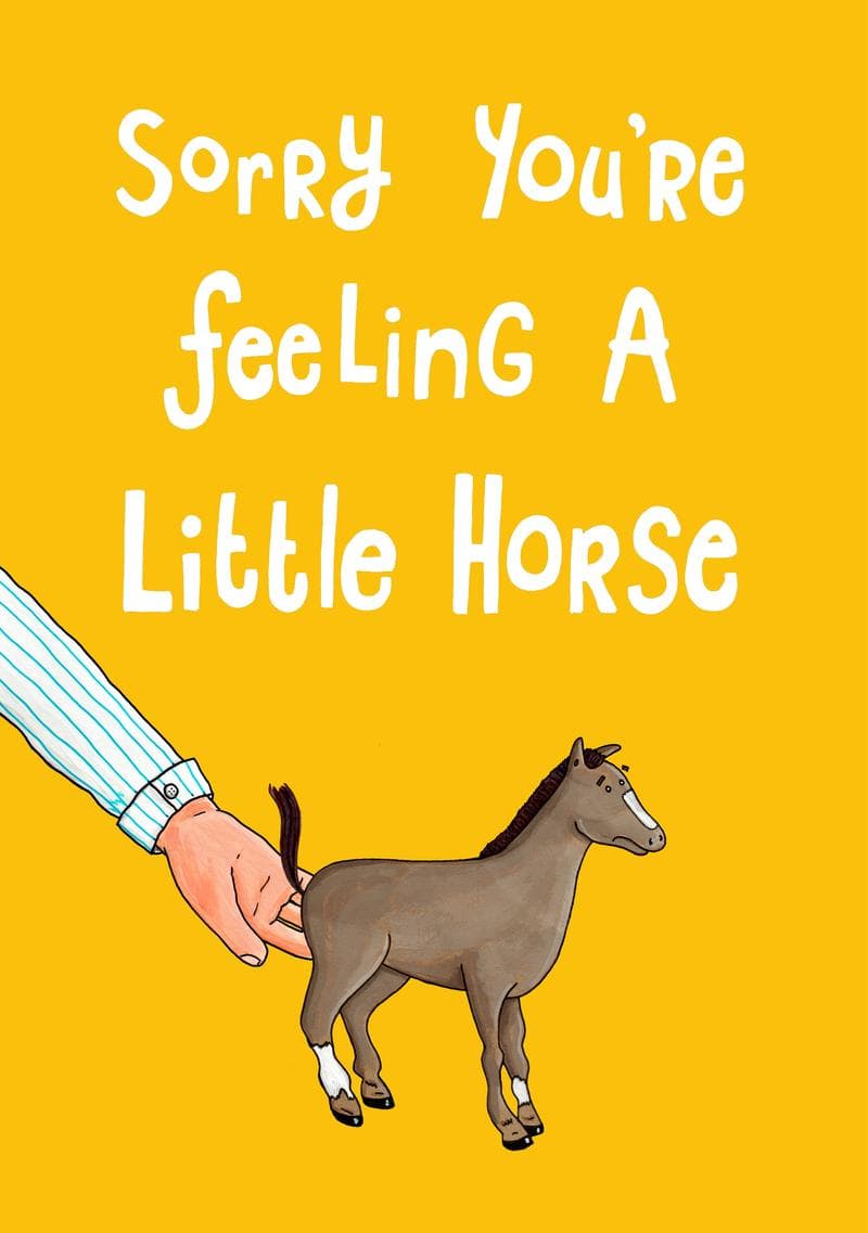 Little Horse Get Well