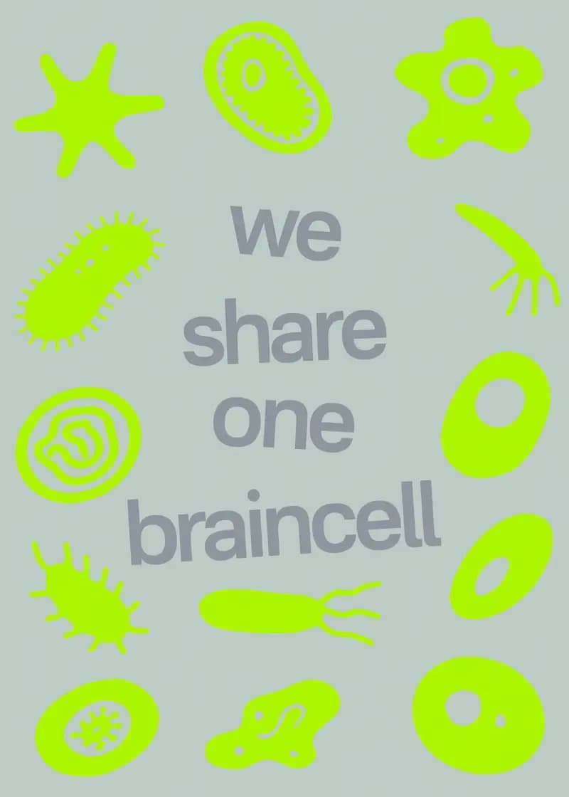 We Share One Braincell Card